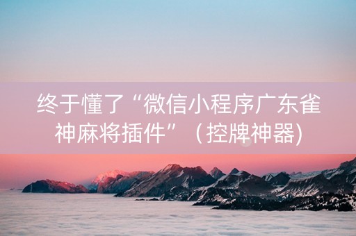 终于懂了“微信小程序广东雀神麻将插件”（控牌神器)