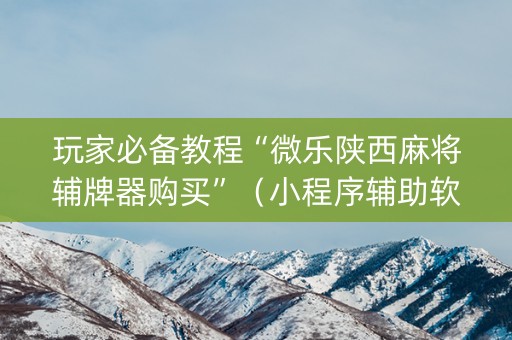 玩家必备教程“微乐陕西麻将辅牌器购买”（小程序辅助软件)