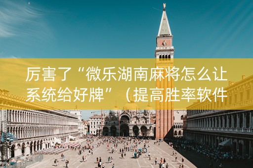 厉害了“微乐湖南麻将怎么让系统给好牌”（提高胜率软件)