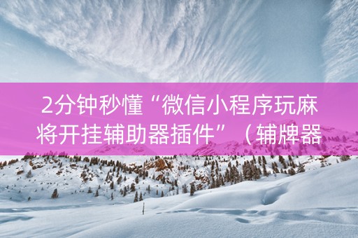 2分钟秒懂“微信小程序玩麻将开挂辅助器插件”（辅牌器插件购买)