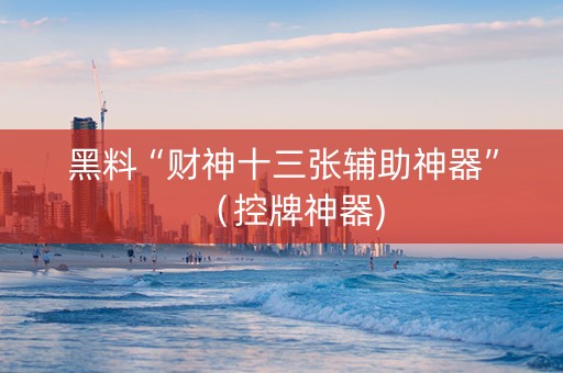 黑料“财神十三张辅助神器”（控牌神器)
