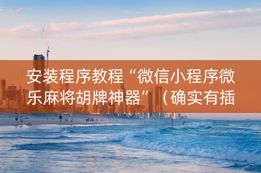 安装程序教程“微信小程序微乐麻将胡牌神器”（确实有插件吗)