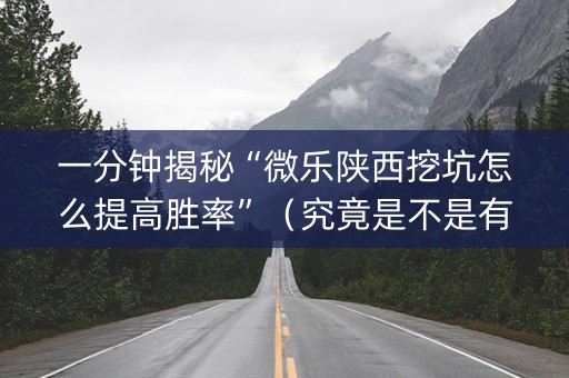 一分钟揭秘“微乐陕西挖坑怎么提高胜率”（究竟是不是有挂)