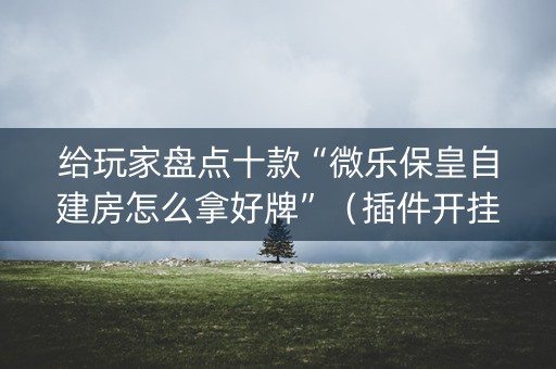 给玩家盘点十款“微乐保皇自建房怎么拿好牌”（插件开挂免费AI)