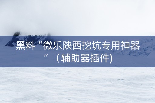 黑料“微乐陕西挖坑专用神器”（辅助器插件)