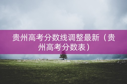 贵州高考分数线调整最新（贵州高考分数表）