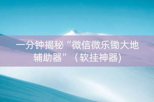 一分钟揭秘“微信微乐锄大地辅助器”（软挂神器)