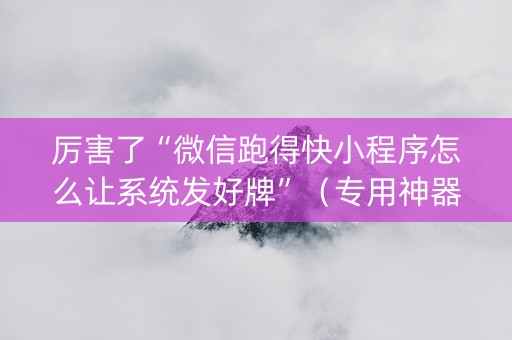 厉害了“微信跑得快小程序怎么让系统发好牌”（专用神器下载)