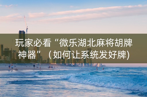 玩家必看“微乐湖北麻将胡牌神器”（如何让系统发好牌)