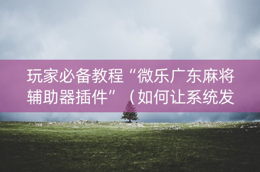 玩家必备教程“微乐广东麻将辅助器插件”（如何让系统发好牌)