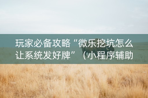 玩家必备攻略“微乐挖坑怎么让系统发好牌”（小程序辅助软件)