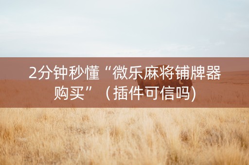 2分钟秒懂“微乐麻将铺牌器购买”（插件可信吗)