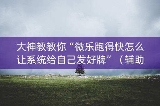 大神教教你“微乐跑得快怎么让系统给自己发好牌”（辅助器插件)