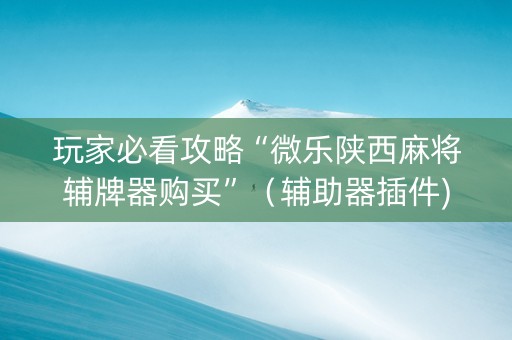 玩家必看攻略“微乐陕西麻将辅牌器购买”（辅助器插件)