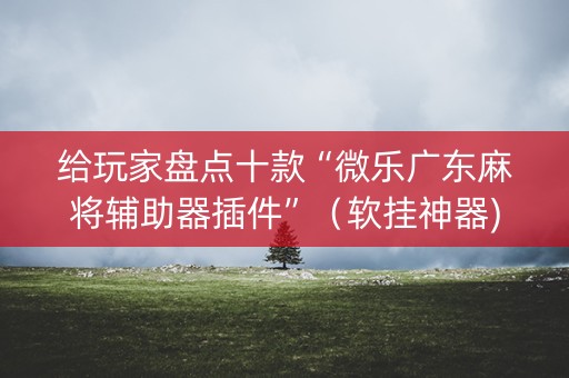 给玩家盘点十款“微乐广东麻将辅助器插件”（软挂神器)
