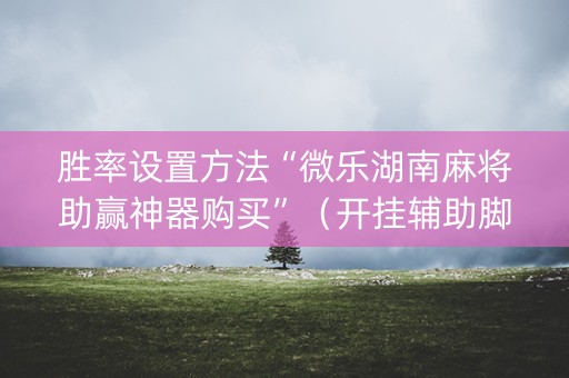 胜率设置方法“微乐湖南麻将助赢神器购买”（开挂辅助脚本)