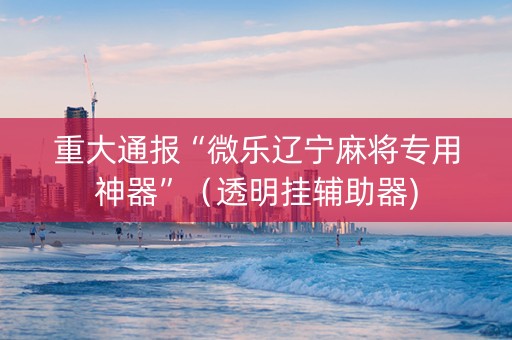 重大通报“微乐辽宁麻将专用神器”（透明挂辅助器)