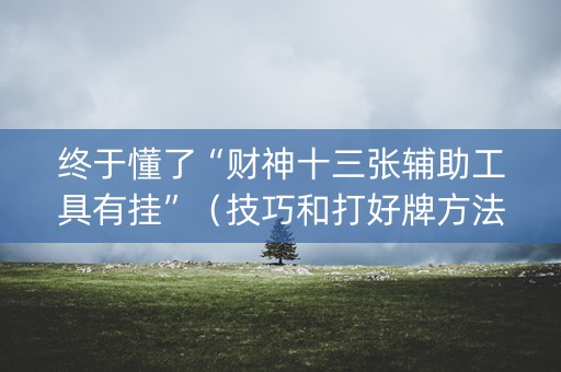 终于懂了“财神十三张辅助工具有挂”（技巧和打好牌方法)