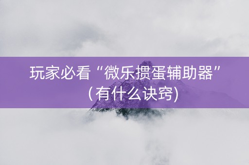 玩家必看“微乐掼蛋辅助器”（有什么诀窍)