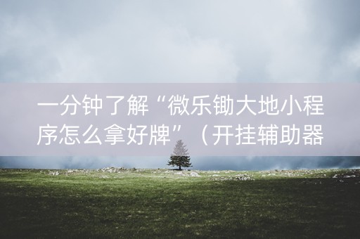 一分钟了解“微乐锄大地小程序怎么拿好牌”（开挂辅助器插件)