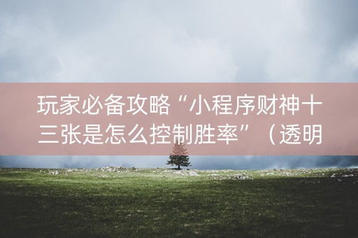 玩家必备攻略“小程序财神十三张是怎么控制胜率”（透明器教程)