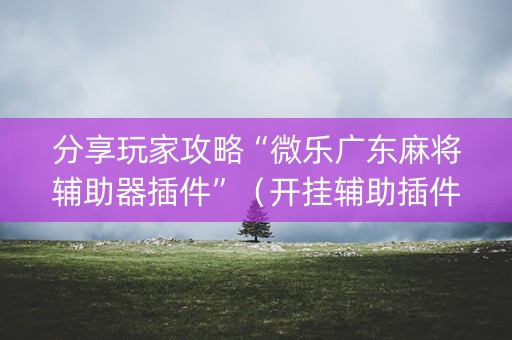 分享玩家攻略“微乐广东麻将辅助器插件”（开挂辅助插件)