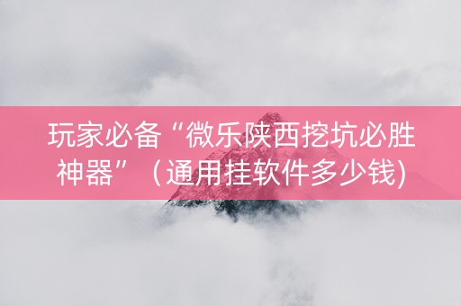 玩家必备“微乐陕西挖坑必胜神器”（通用挂软件多少钱)