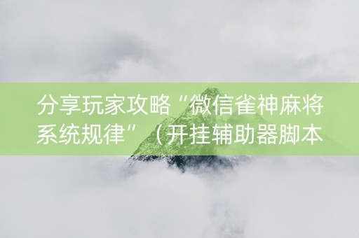 分享玩家攻略“微信雀神麻将系统规律”（开挂辅助器脚本)