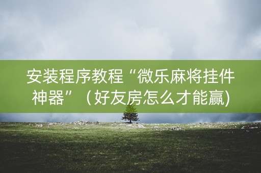 安装程序教程“微乐麻将挂件神器”（好友房怎么才能赢)
