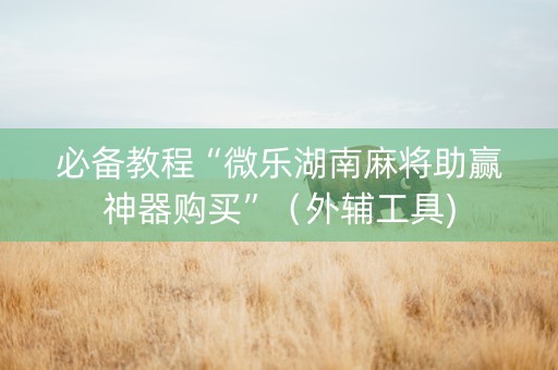 必备教程“微乐湖南麻将助赢神器购买”（外辅工具)
