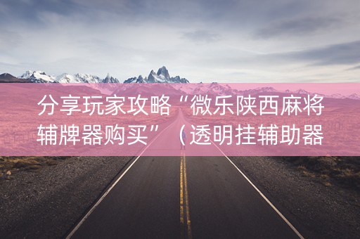 分享玩家攻略“微乐陕西麻将辅牌器购买”（透明挂辅助器)