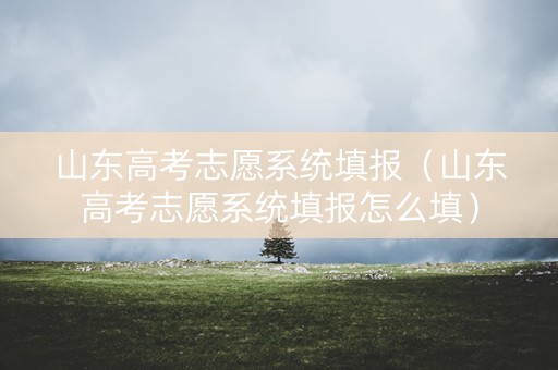 山东高考志愿系统填报（山东高考志愿系统填报怎么填）