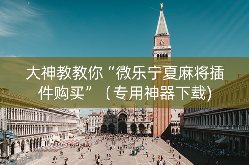 大神教教你“微乐宁夏麻将插件购买”（专用神器下载)