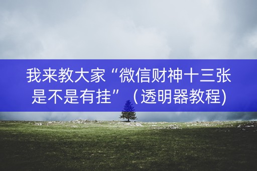 我来教大家“微信财神十三张是不是有挂”（透明器教程)