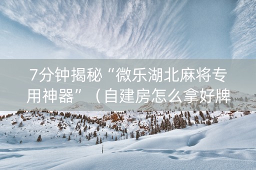 7分钟揭秘“微乐湖北麻将专用神器”（自建房怎么拿好牌)