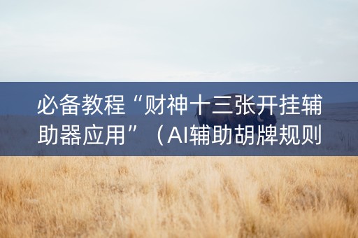 必备教程“财神十三张开挂辅助器应用”（AI辅助胡牌规则)