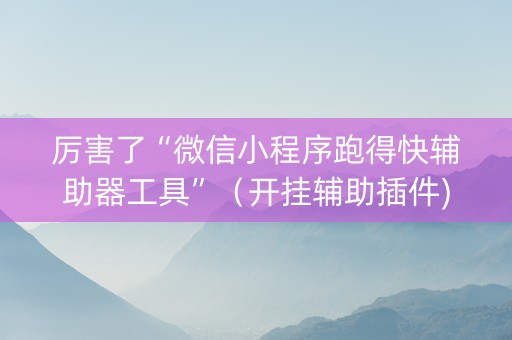 厉害了“微信小程序跑得快辅助器工具”（开挂辅助插件)