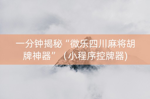一分钟揭秘“微乐四川麻将胡牌神器”（小程序控牌器)