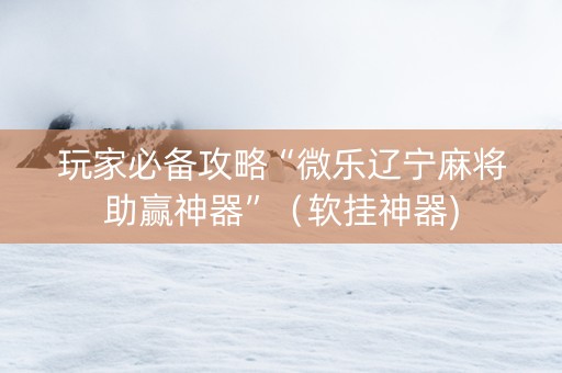 玩家必备攻略“微乐辽宁麻将助赢神器”（软挂神器)