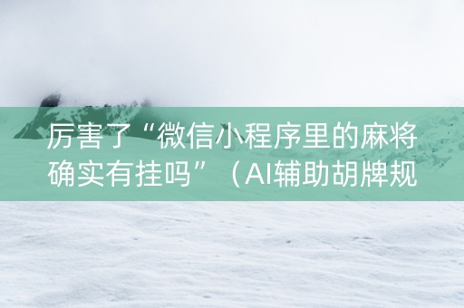 厉害了“微信小程序里的麻将确实有挂吗”（AI辅助胡牌规则)