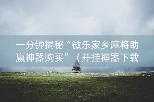 一分钟揭秘“微乐家乡麻将助赢神器购买”（开挂神器下载)