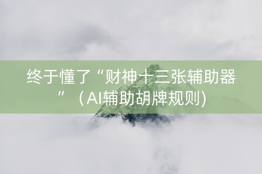 终于懂了“财神十三张辅助器”（AI辅助胡牌规则)