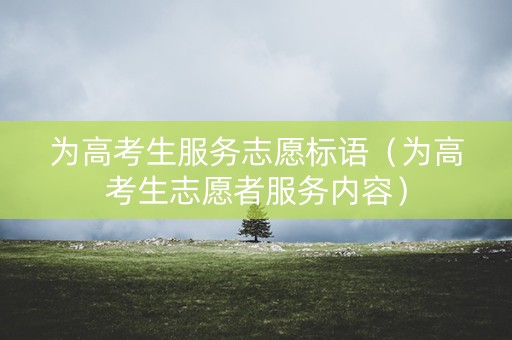 为高考生服务志愿标语（为高考生志愿者服务内容）