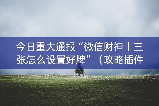 今日重大通报“微信财神十三张怎么设置好牌”（攻略插件)
