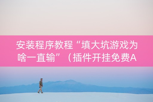 安装程序教程“填大坑游戏为啥一直输”（插件开挂免费AI)