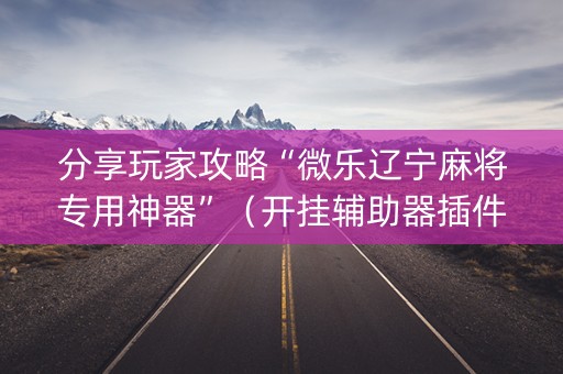 分享玩家攻略“微乐辽宁麻将专用神器”（开挂辅助器插件)