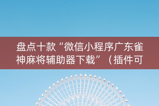 盘点十款“微信小程序广东雀神麻将辅助器下载”（插件可信吗)