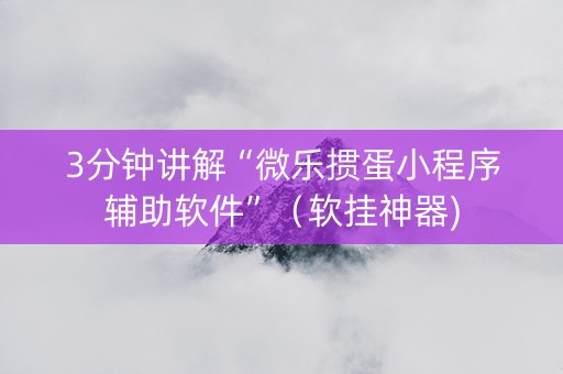 3分钟讲解“微乐掼蛋小程序辅助软件”（软挂神器)
