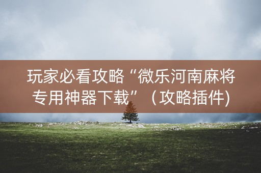 玩家必看攻略“微乐河南麻将专用神器下载”（攻略插件)