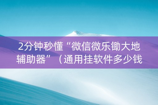 2分钟秒懂“微信微乐锄大地辅助器”（通用挂软件多少钱)